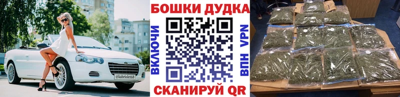 Конопля сатива Кандалакша